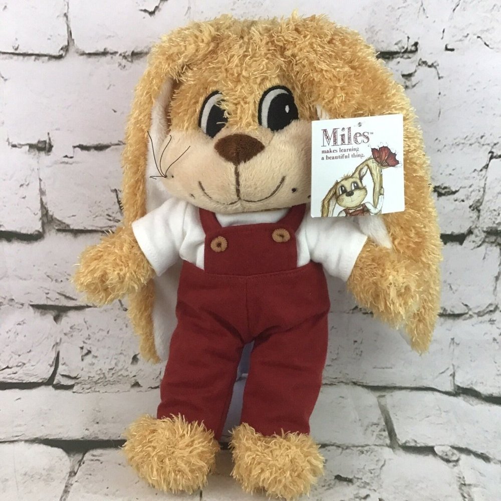 Miles Educational Series Plush Bunnny Rabbit Stuffed Toy Jamie Ruthenberg Rare